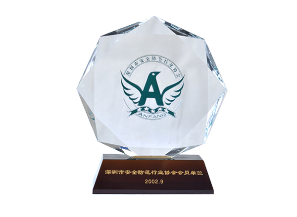 Member of Shenzhen Security Industry Association
